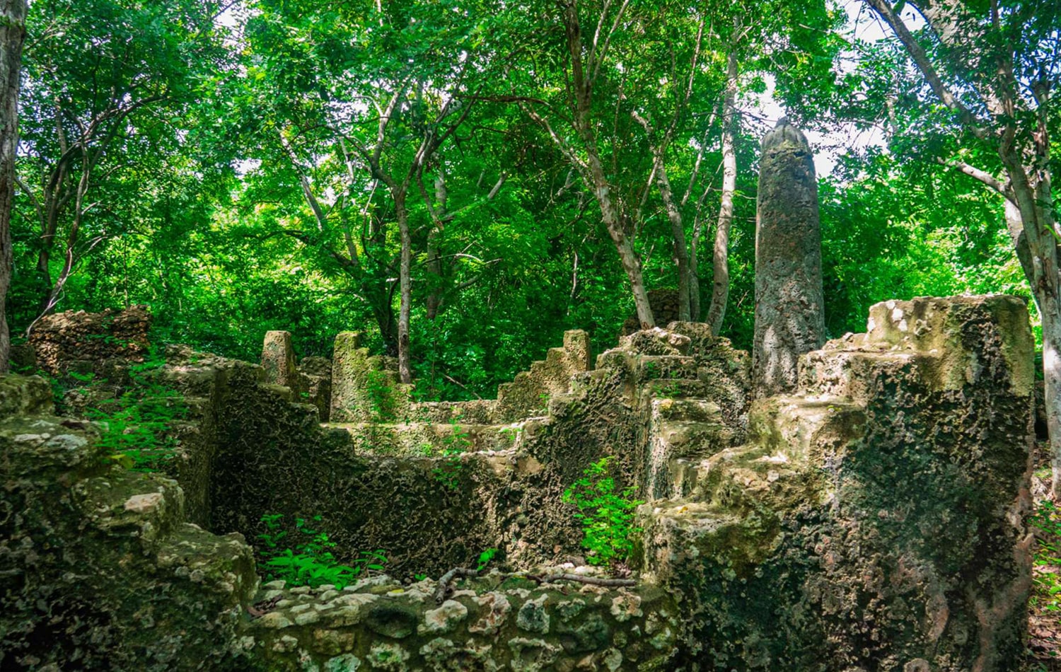 Escape To Kua Ruins