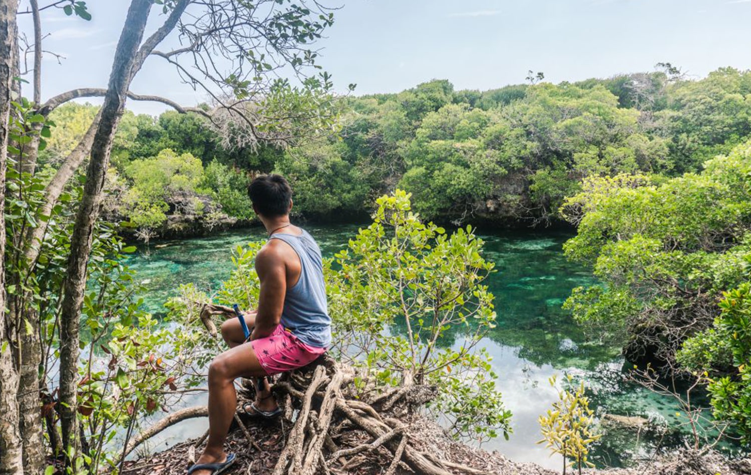 Swim In A Hidden Mangrove Lagoon