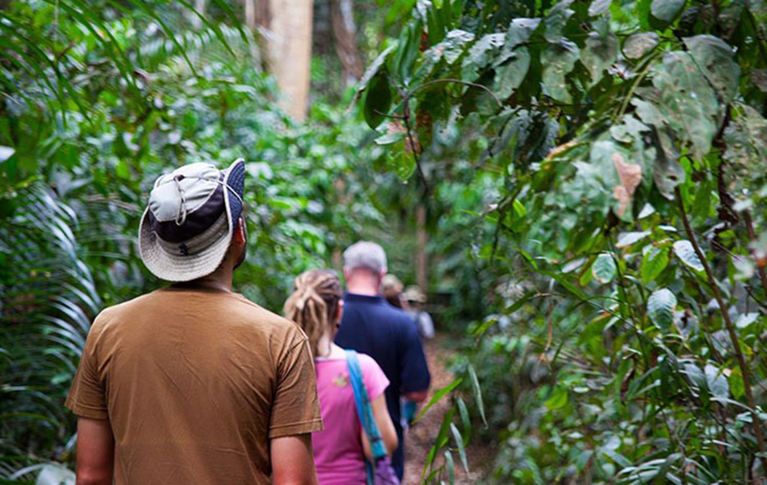 Exploring Ngezi Forest Reserve