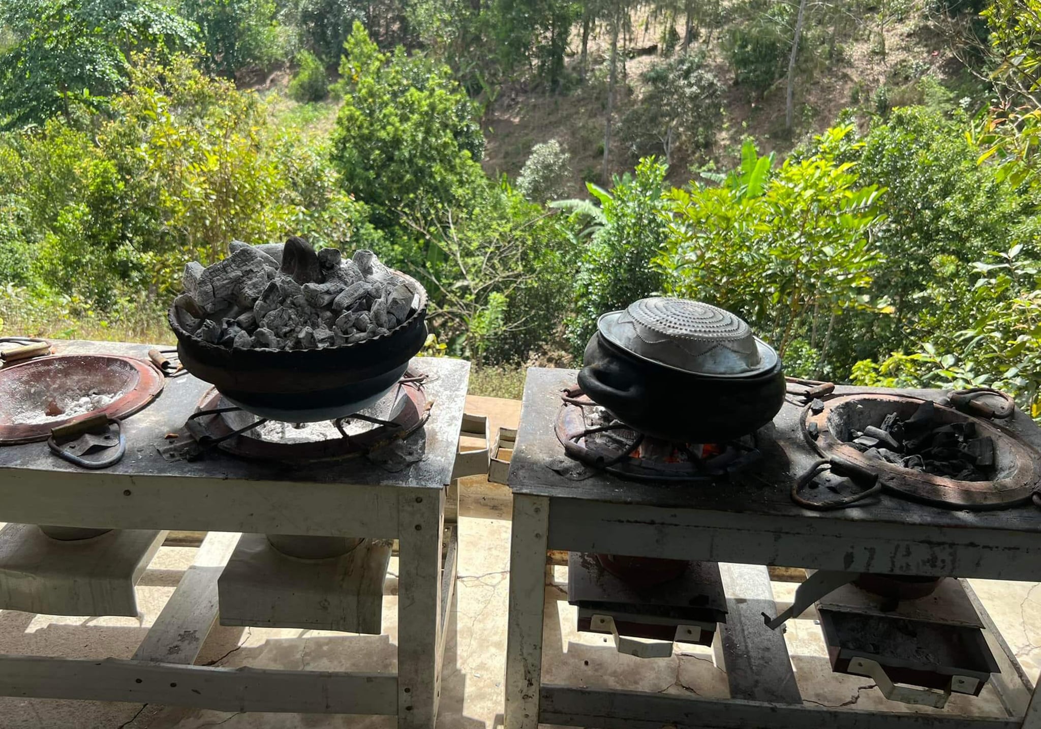 Cook Like a Local