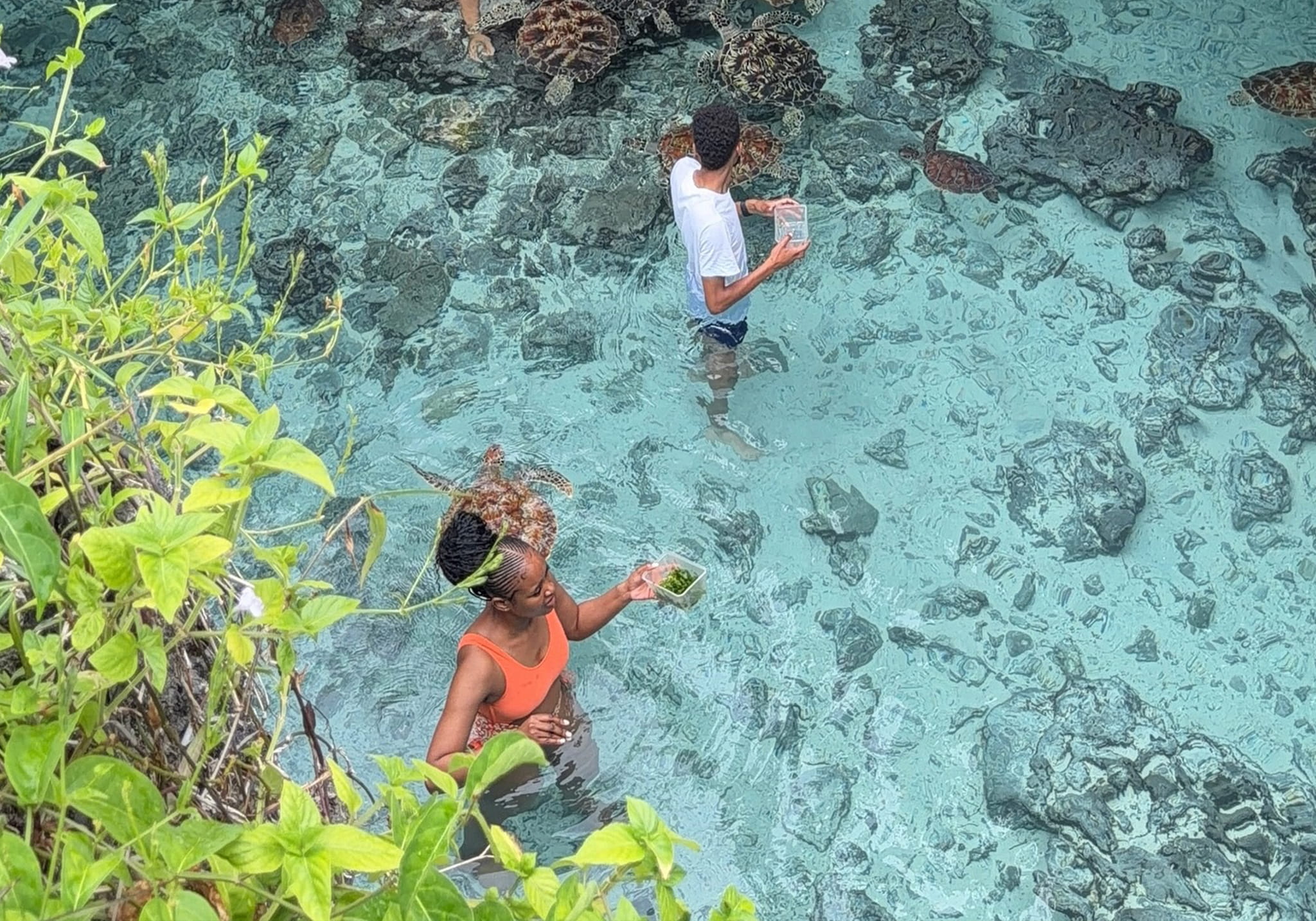 Explore the Magic Of Salaam Cave