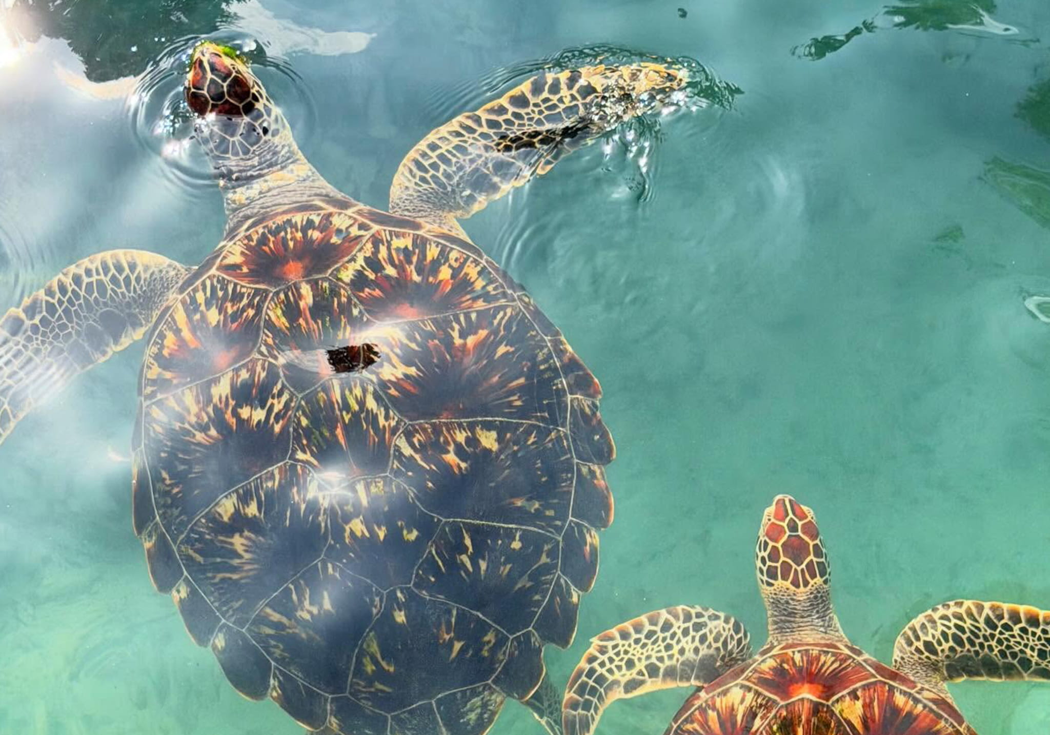 Explore the Magic Of Salaam Cave