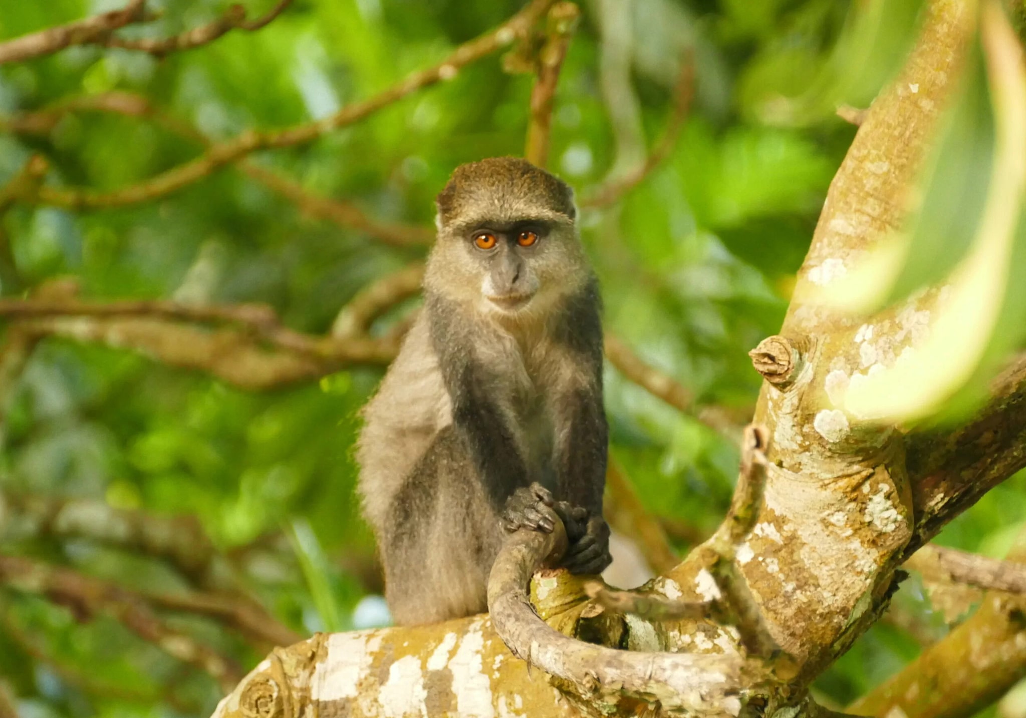 Walk Through Time in Stone Town