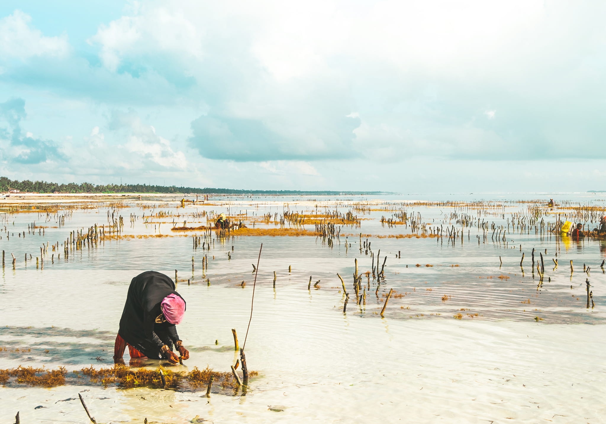 Jambiani Village Cultural Experience