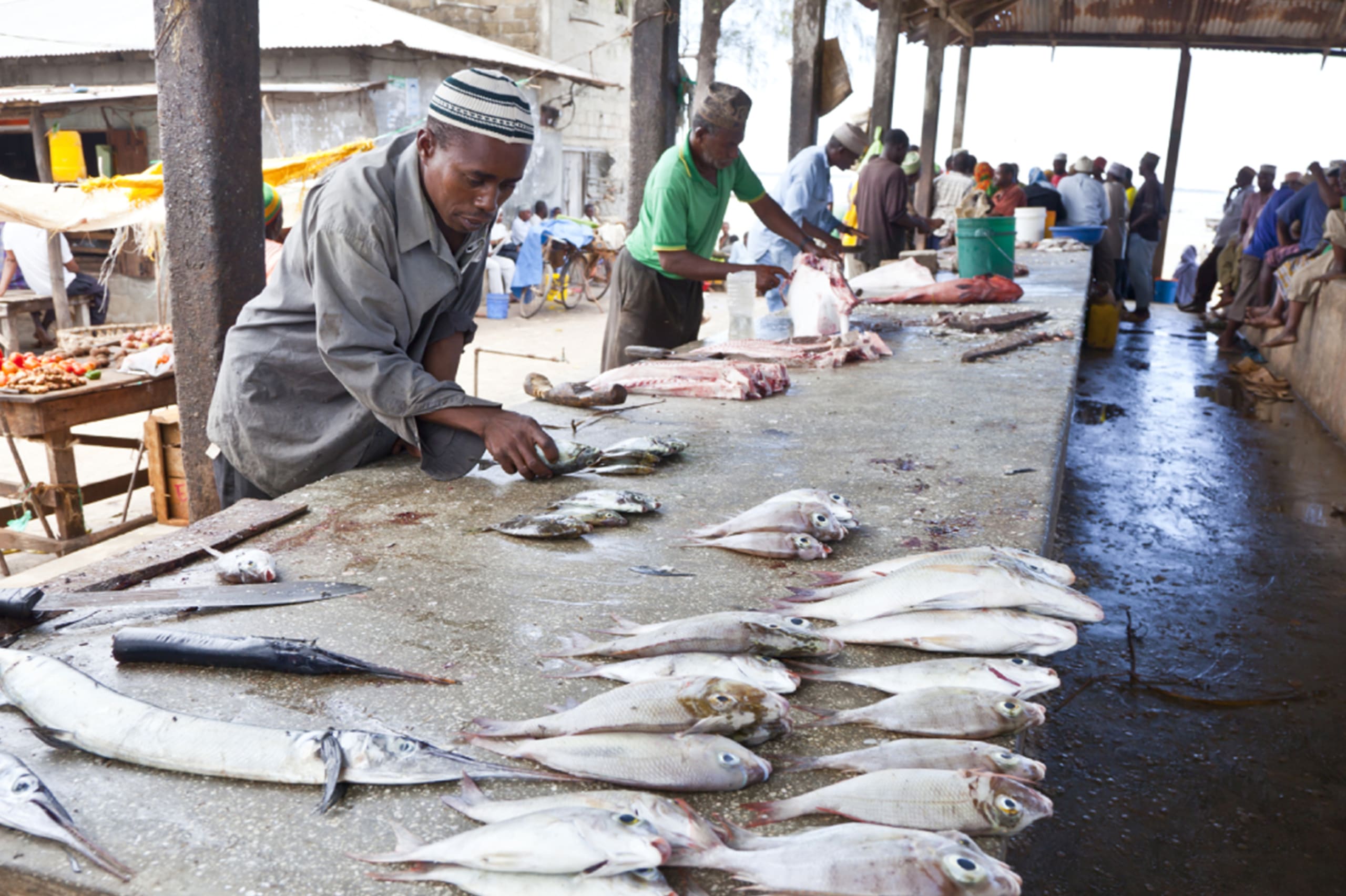 Walk Through Time in Stone Town