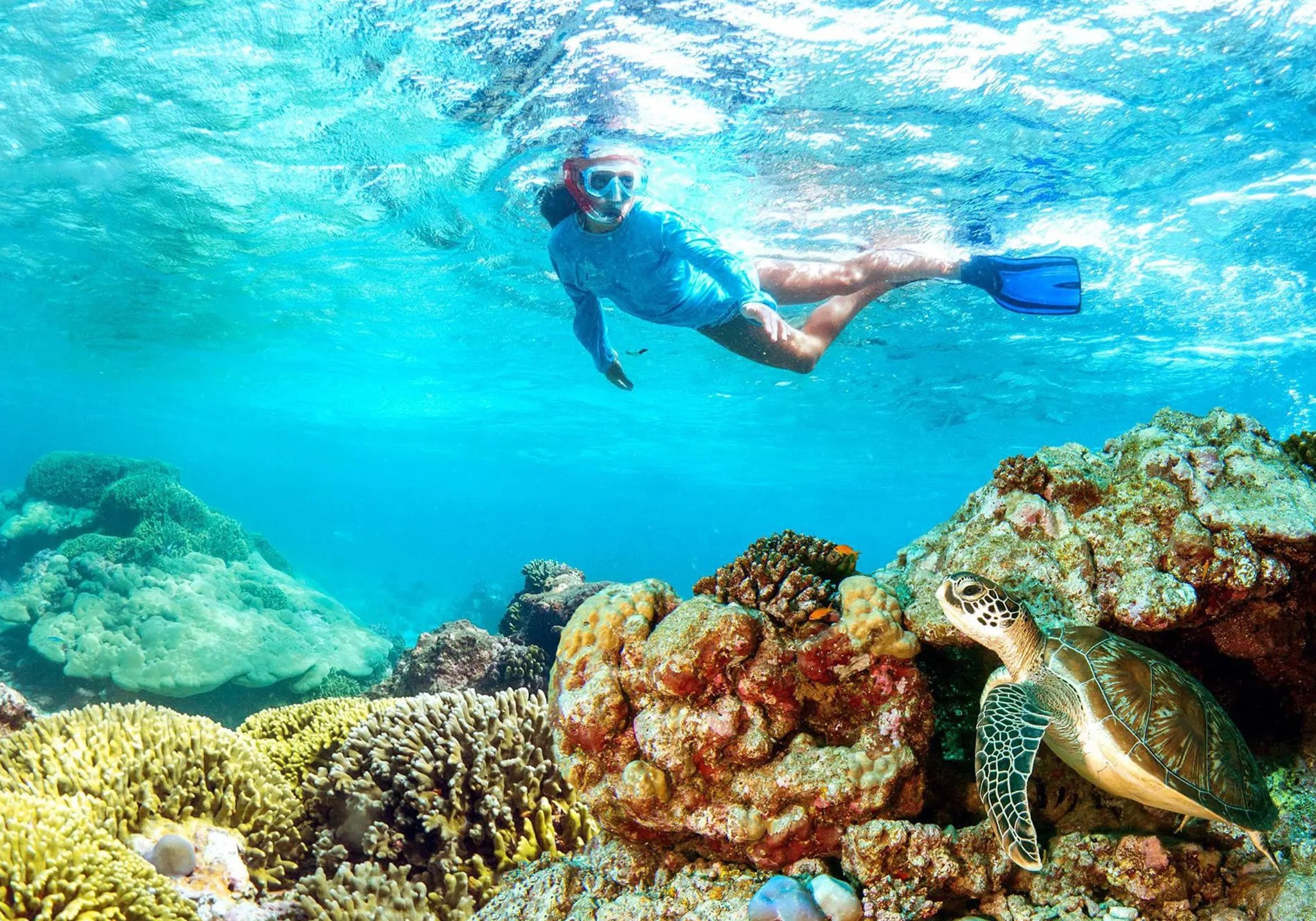 Ultimate Mnemba Atoll Snorkeling Adventure