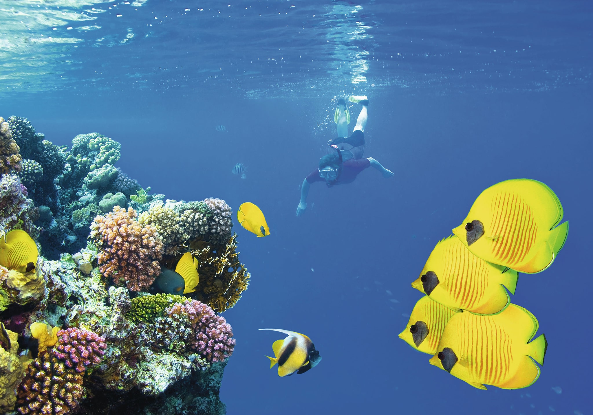 Walk Through Time in Stone Town
