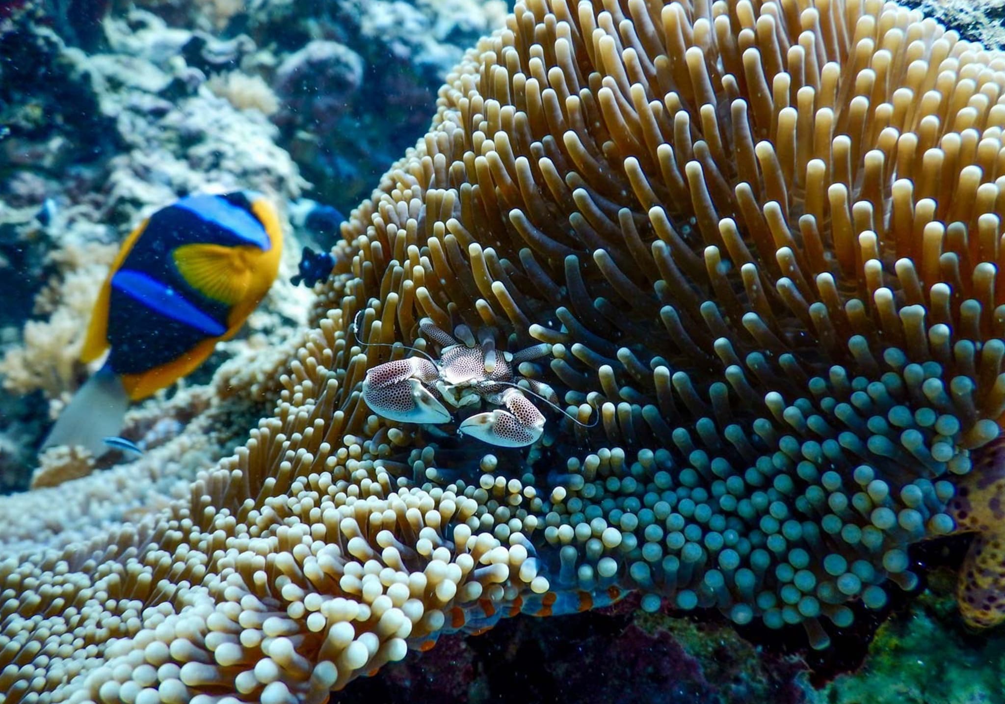 Walk Through Time in Stone Town