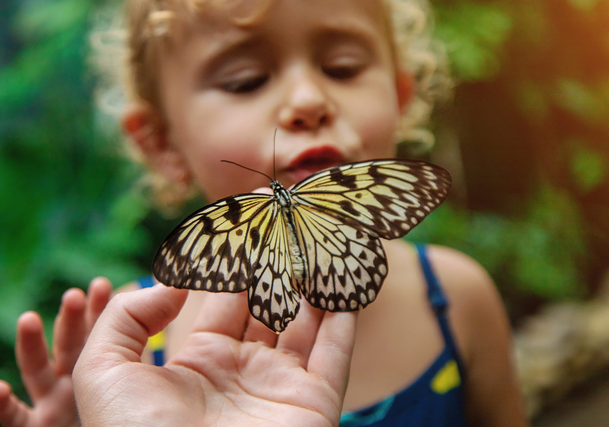 Step into a Zanzibar’s Butterfly Haven