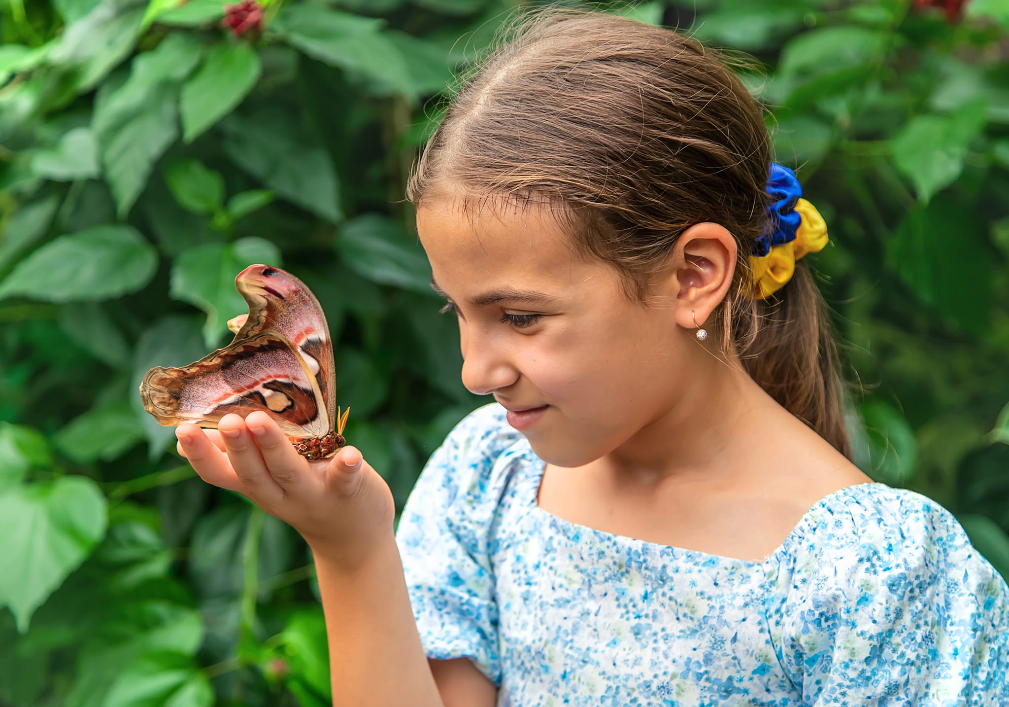 Step into a Zanzibar’s Butterfly Haven