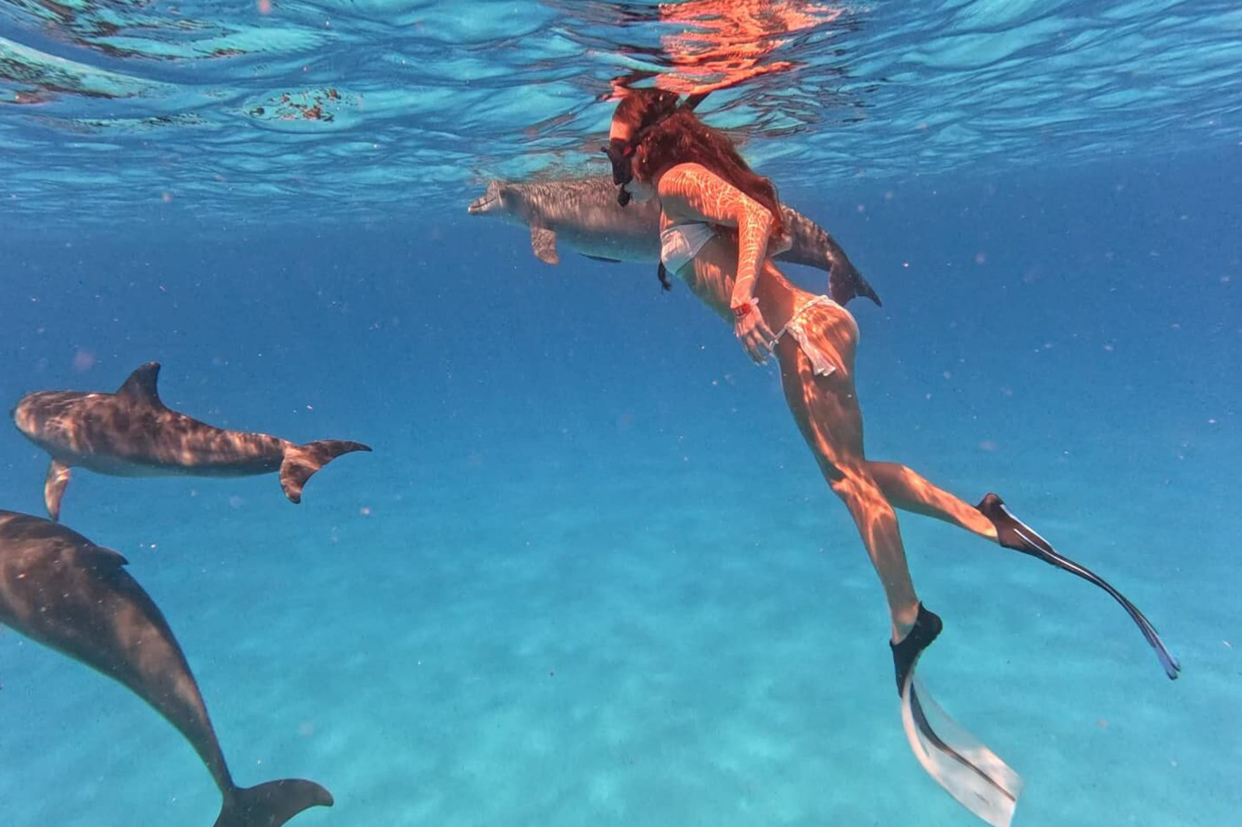 Swimming With Dolphins at Kizimkazi