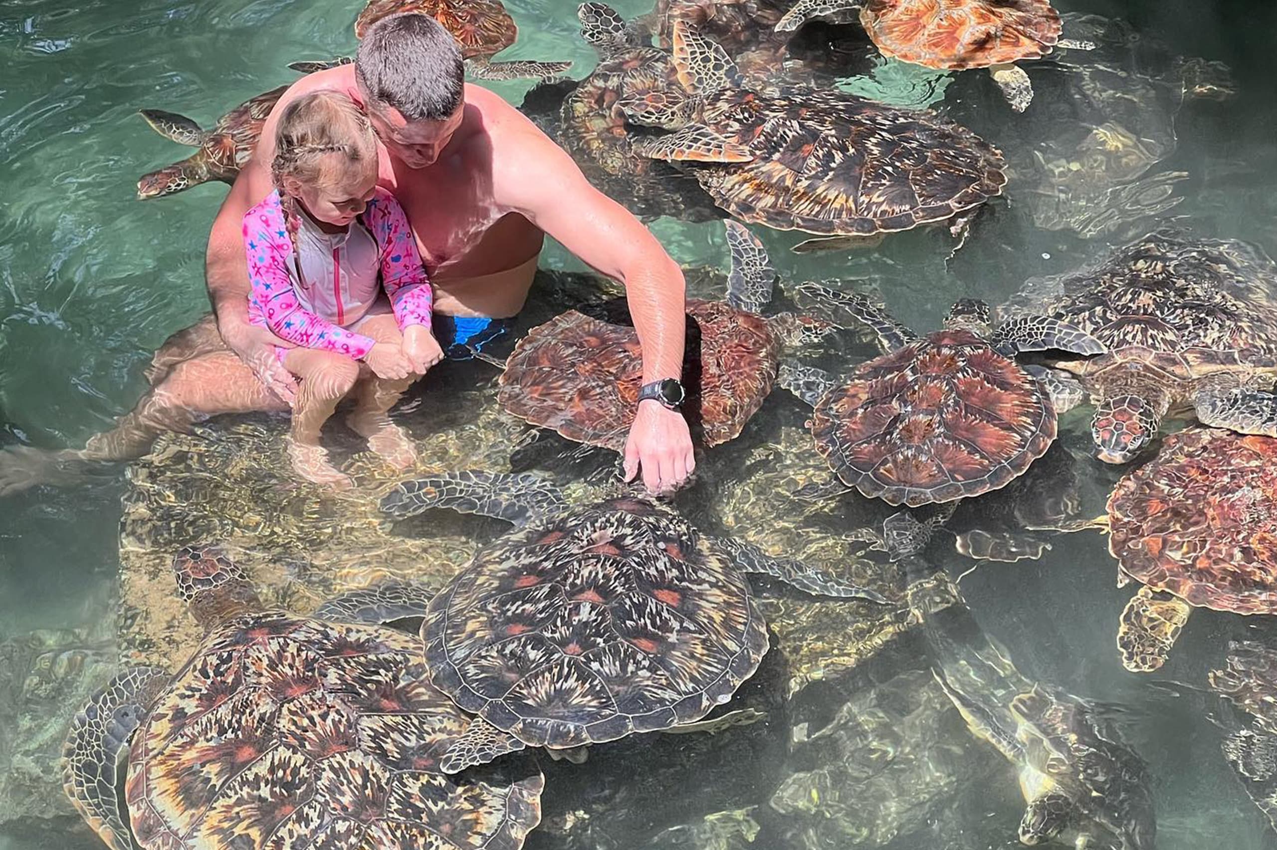 Swimming With Turtle at Baraka Aquarium