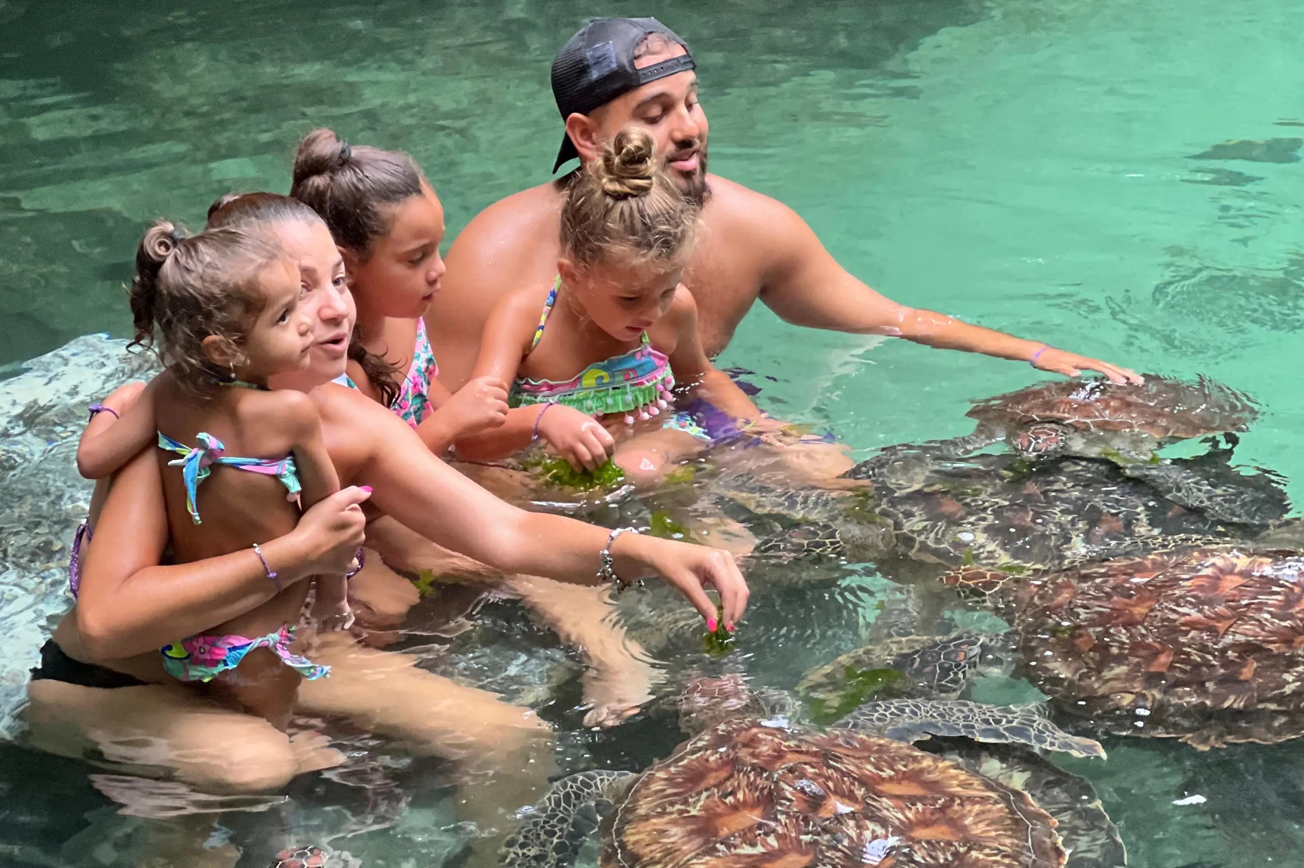 Swimming With Turtle at Baraka Aquarium