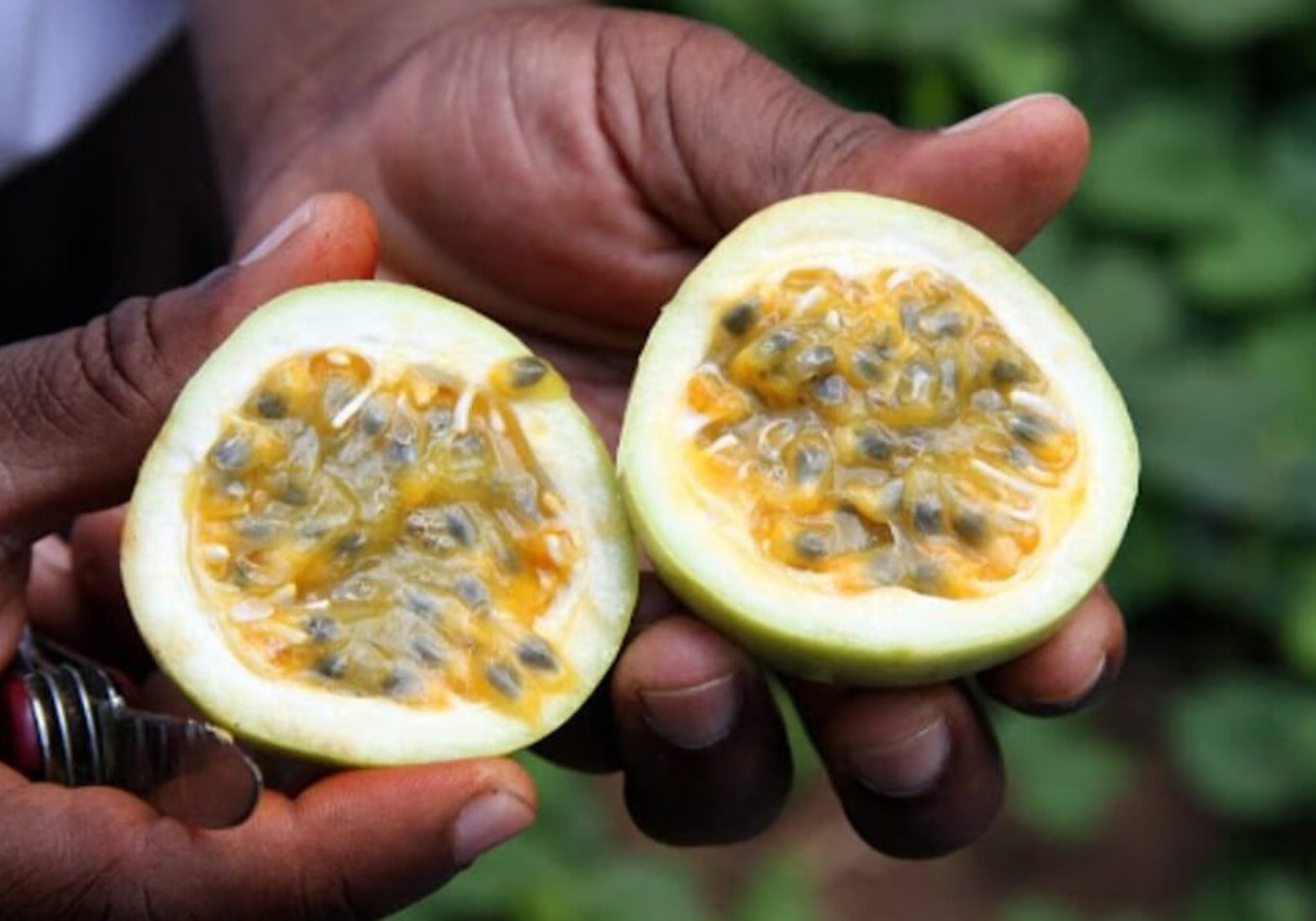 Walk Through Time in Stone Town