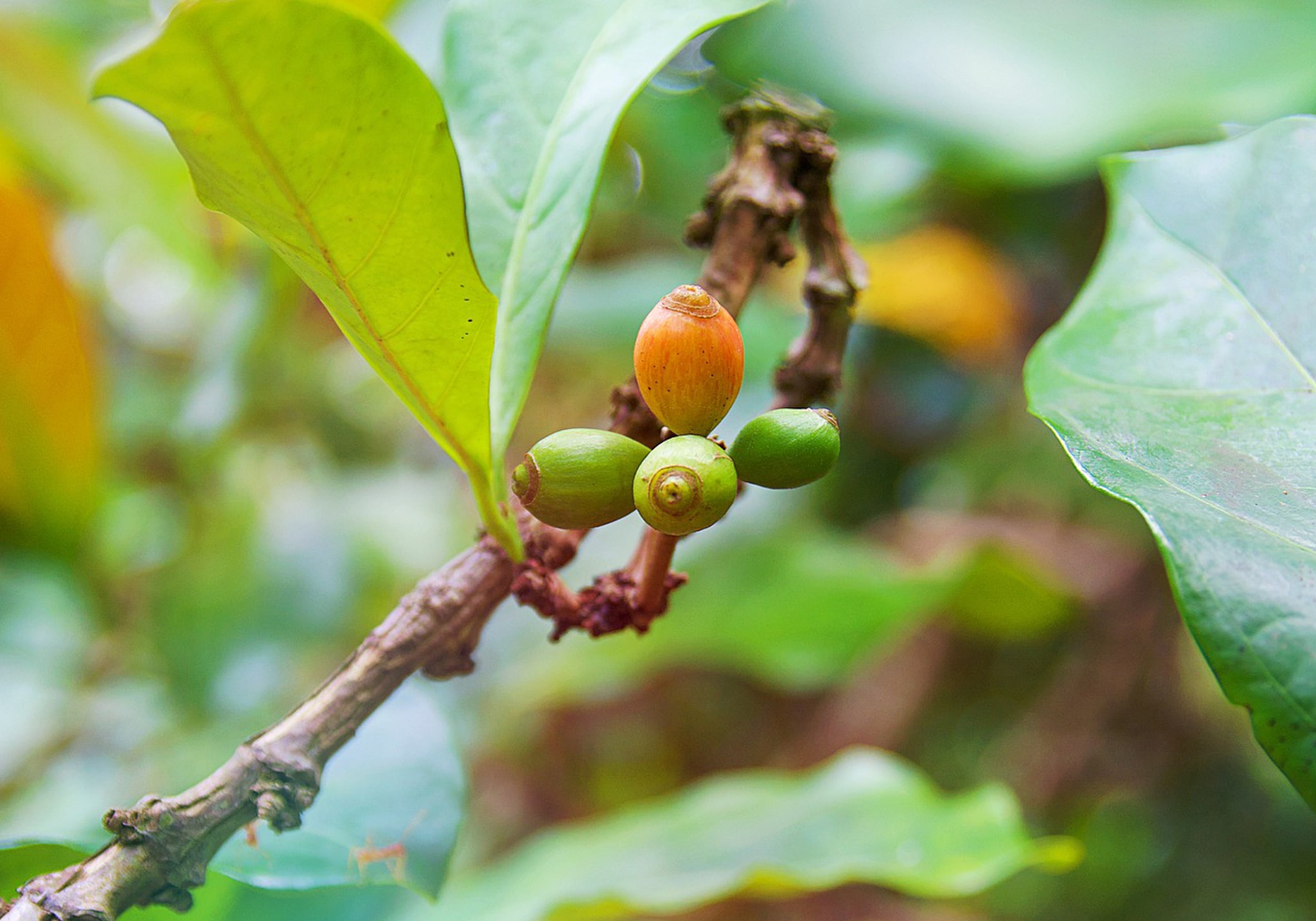 Walk Through Time in Stone Town