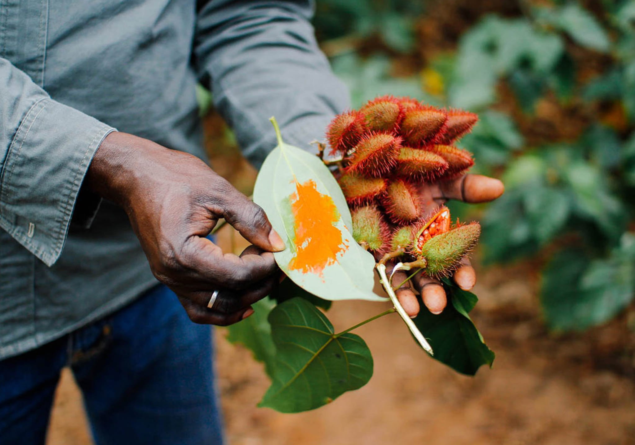 Walk Through Time in Stone Town