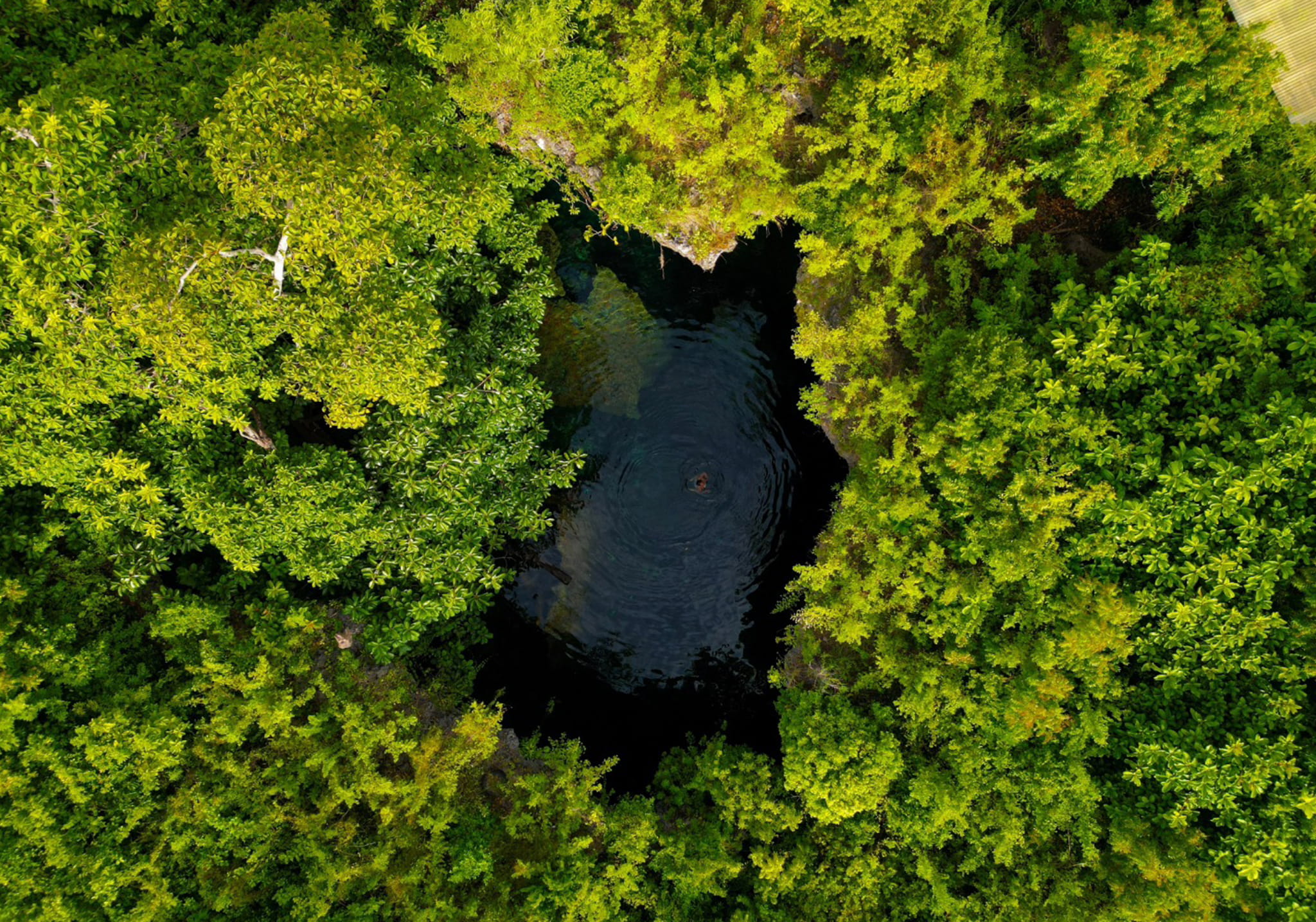 The Crystal Clear Pool of Maalum Cave