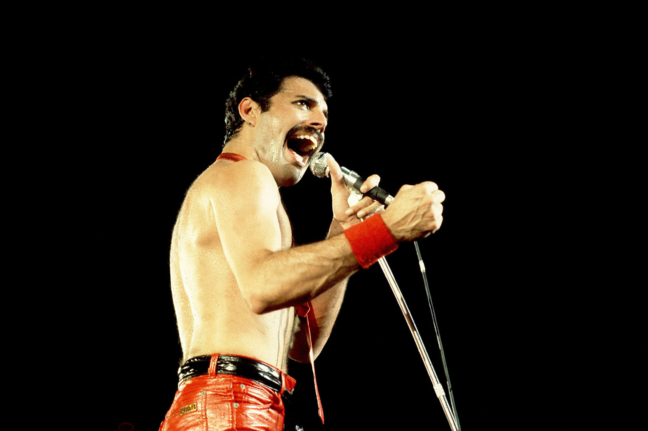 Trace Freddie Mercury’s Footsteps
