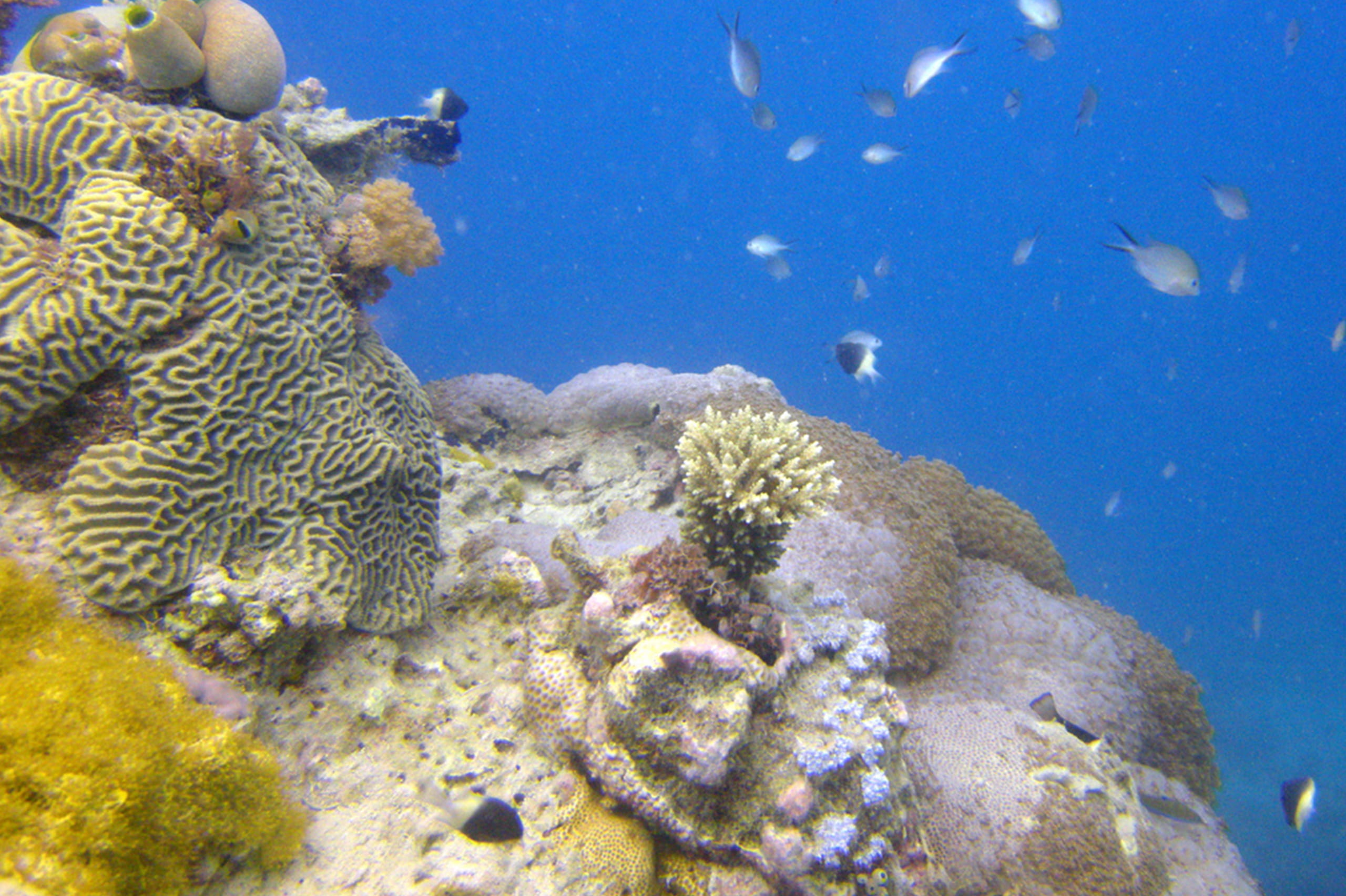 Tumbatu Island Cultural Experience