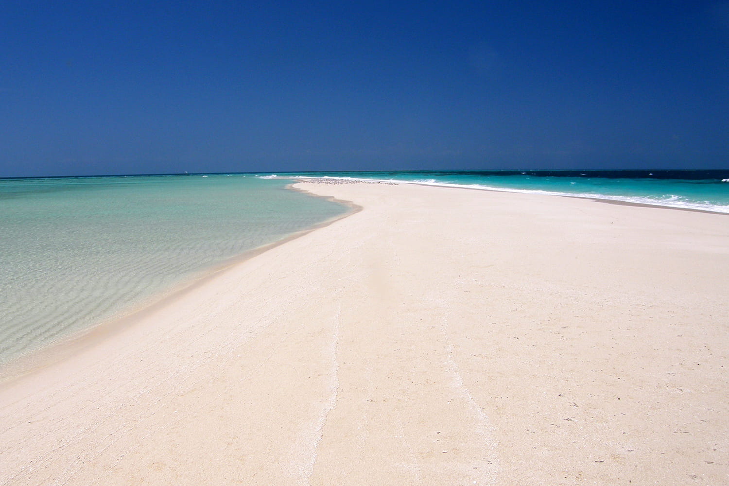 A Day Out At Prison Island & Pange Sandbank