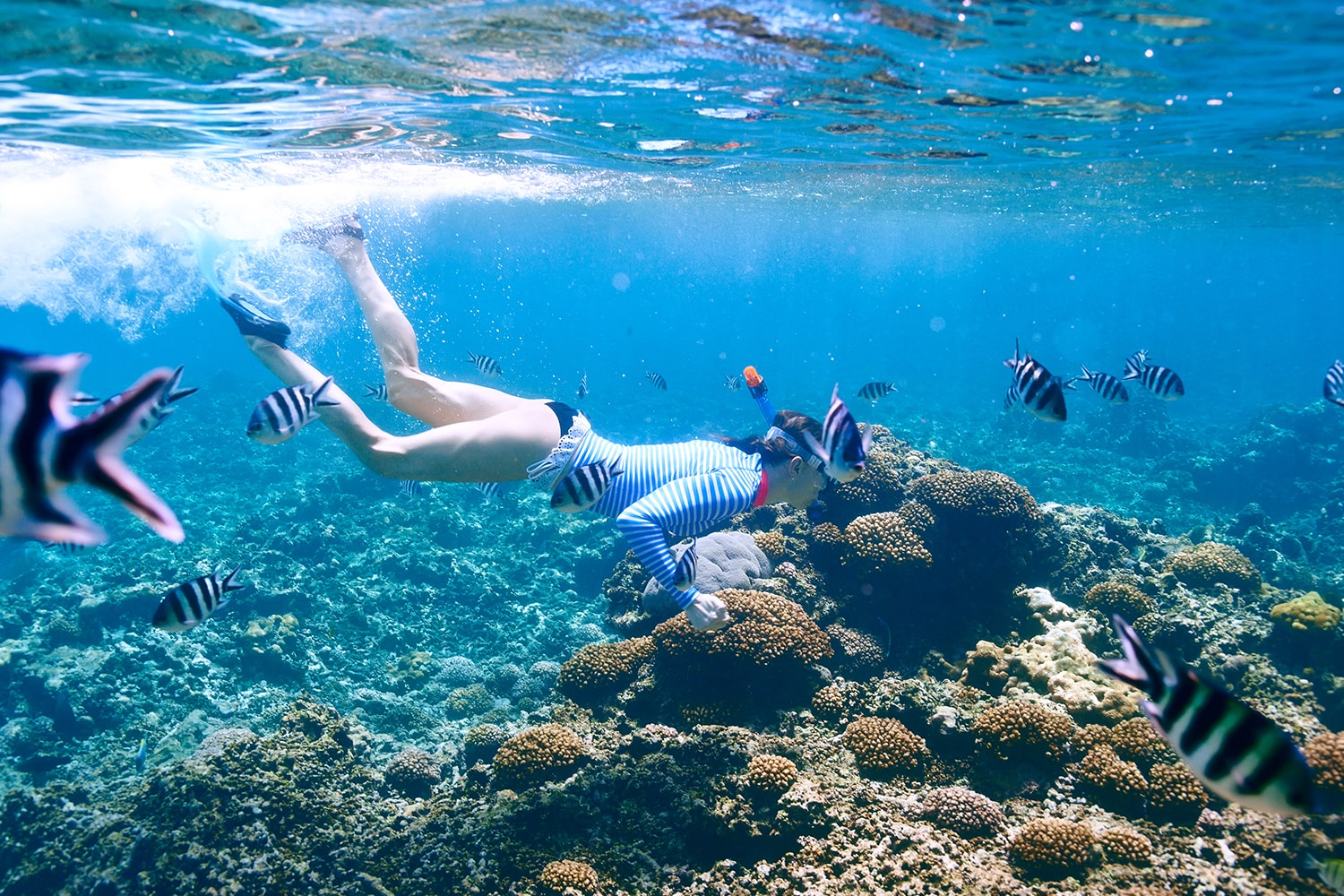 Paradise Found: Sun, Sand, and Sea at Pange Sandbank