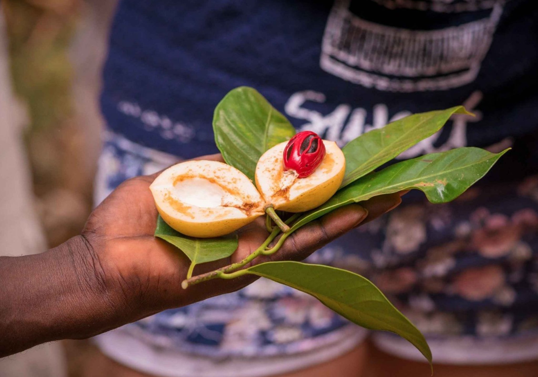 Journey Through the Senses at Zanzibar’s Spice Farm