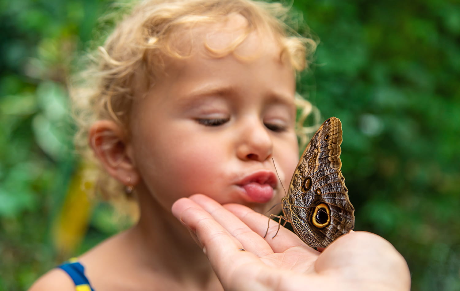 Discover Zanzibar’s Living Wonders