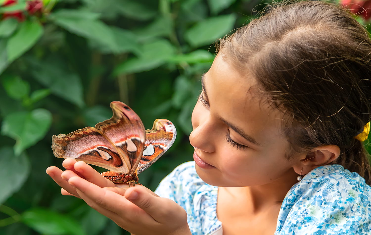Step into a Zanzibar’s Butterfly Haven