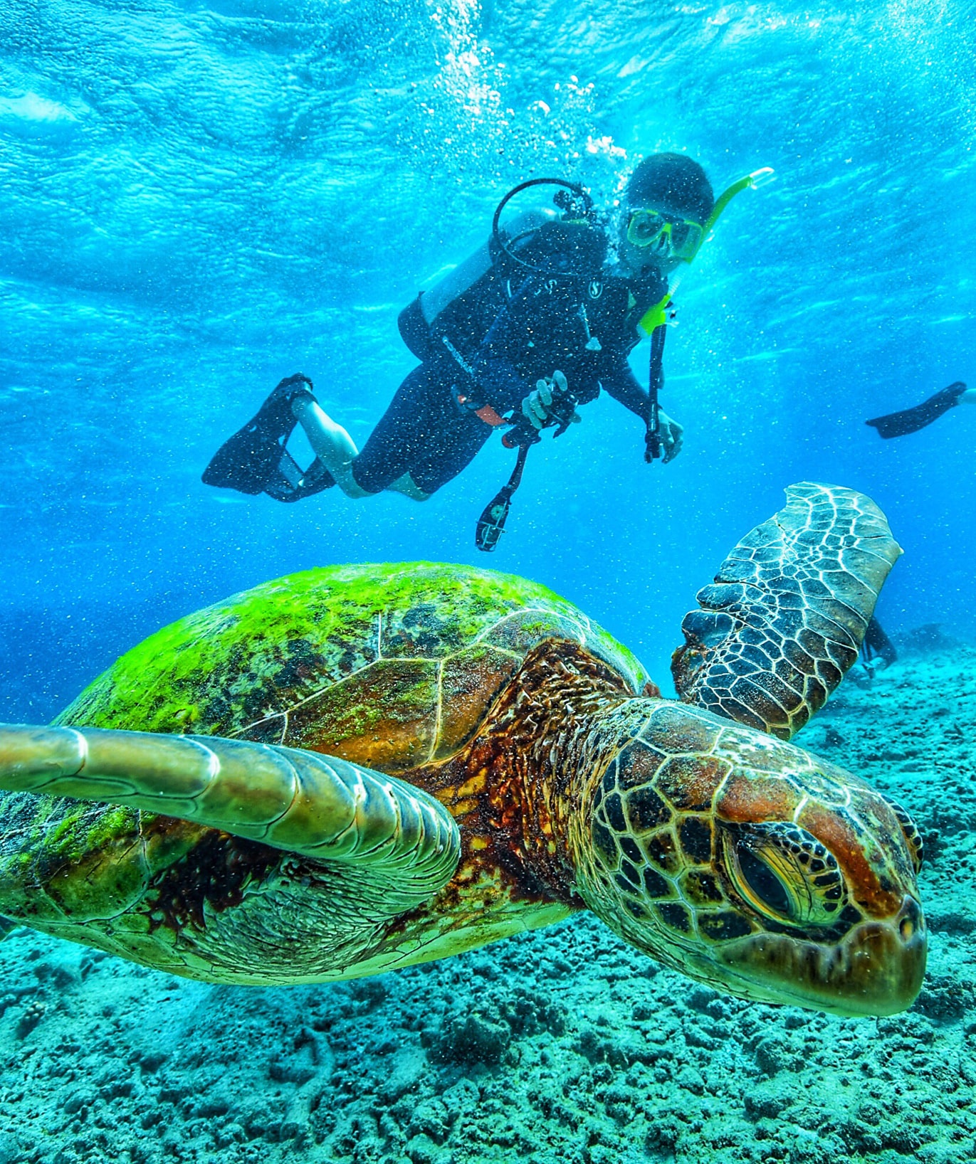3 Nights Diving Package in Mafia Island
