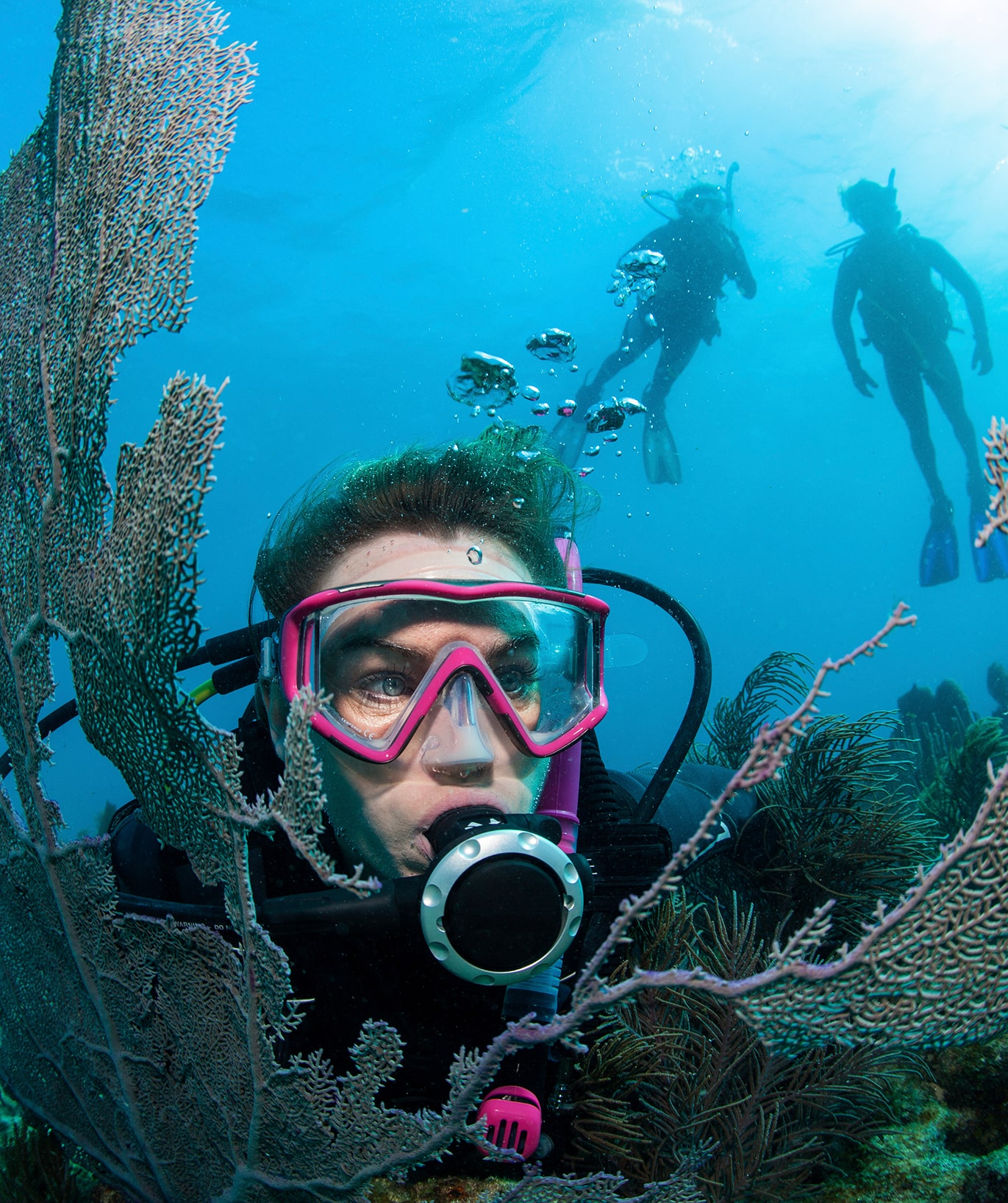 5 Nights Diving Package in Mafia Island