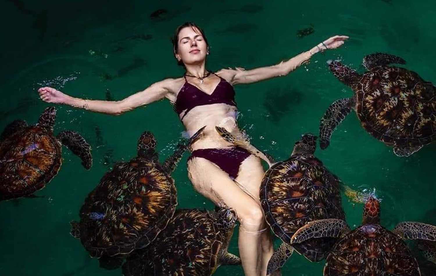 Swim With Turtle in Baraka Aquarium