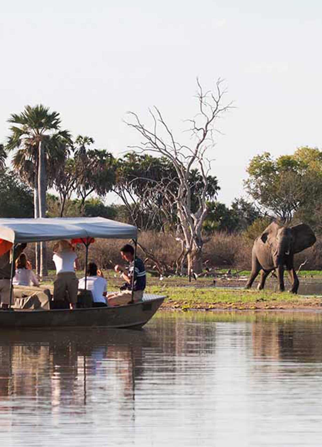 2 Days Fly-in Safari to Selous Game Reserve from Zanzibar