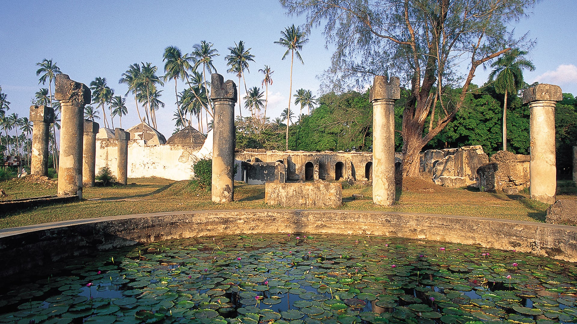 4 Days Unearthing the Forgotten Slave Routes of Zanzibar