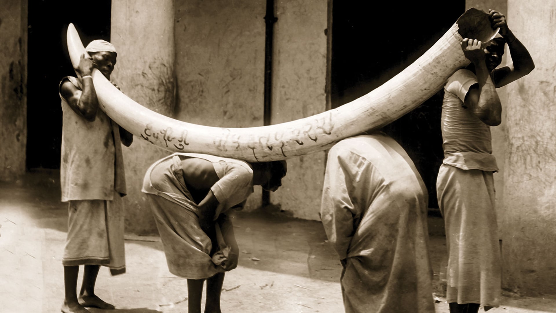 4 Days Unearthing the Forgotten Slave Routes of Zanzibar