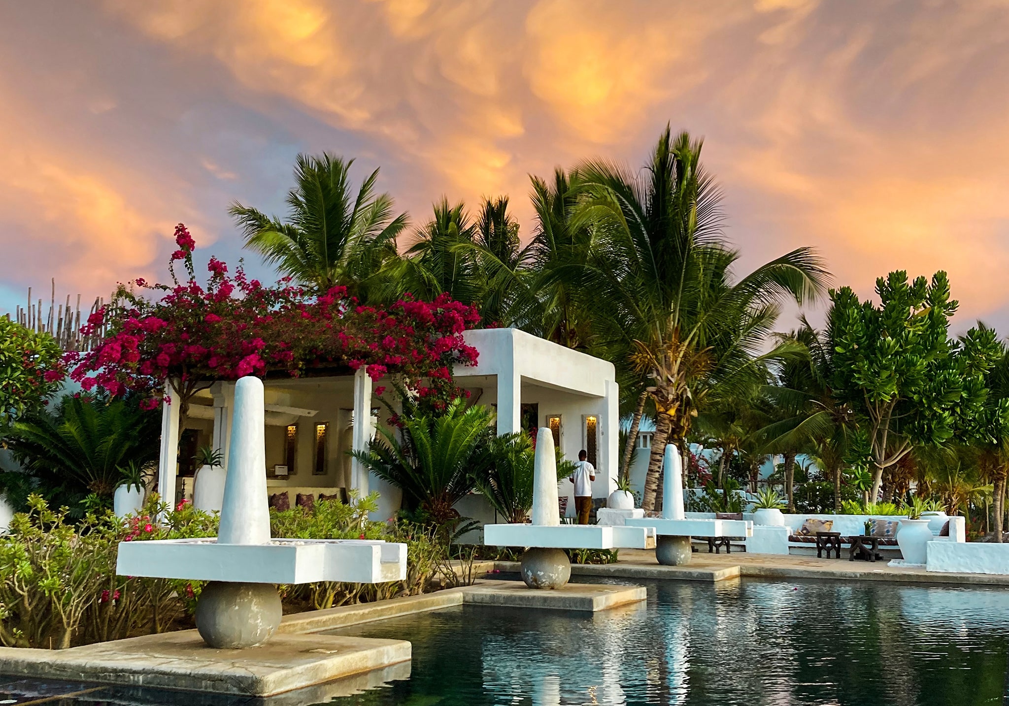 Pemba in Bloom: 5 Days of Pure Bliss on Zanzibar’s Hidden Green Paradise