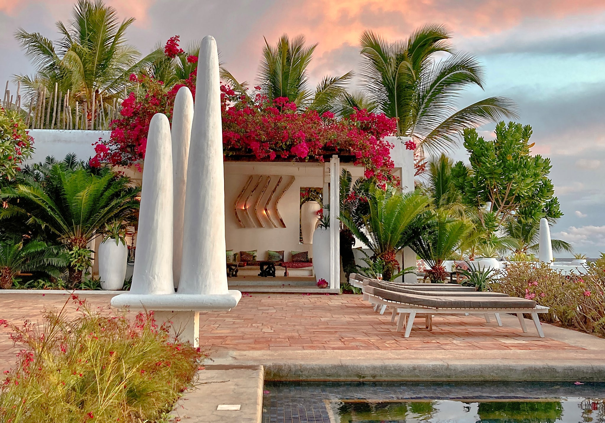 Pemba in Bloom: 5 Days of Pure Bliss on Zanzibar’s Hidden Green Paradise