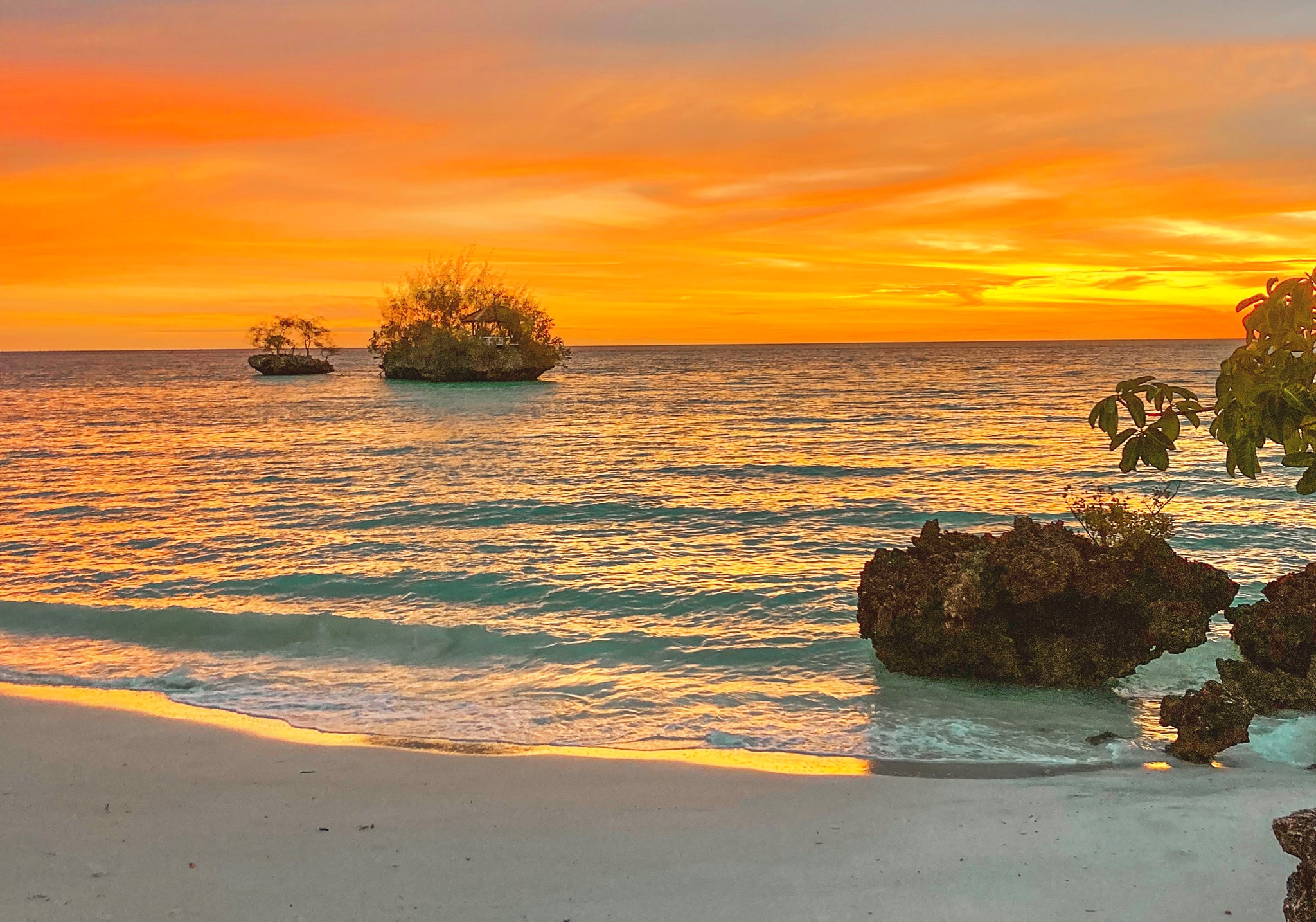 Pemba in Bloom: 5 Days of Pure Bliss on Zanzibar’s Hidden Green Paradise