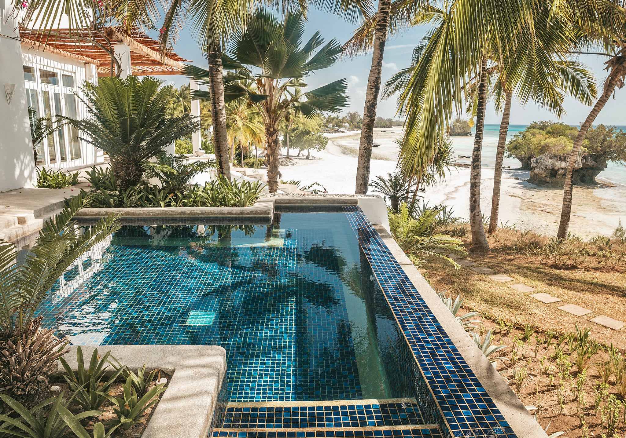 Pemba in Bloom: 5 Days of Pure Bliss on Zanzibar’s Hidden Green Paradise