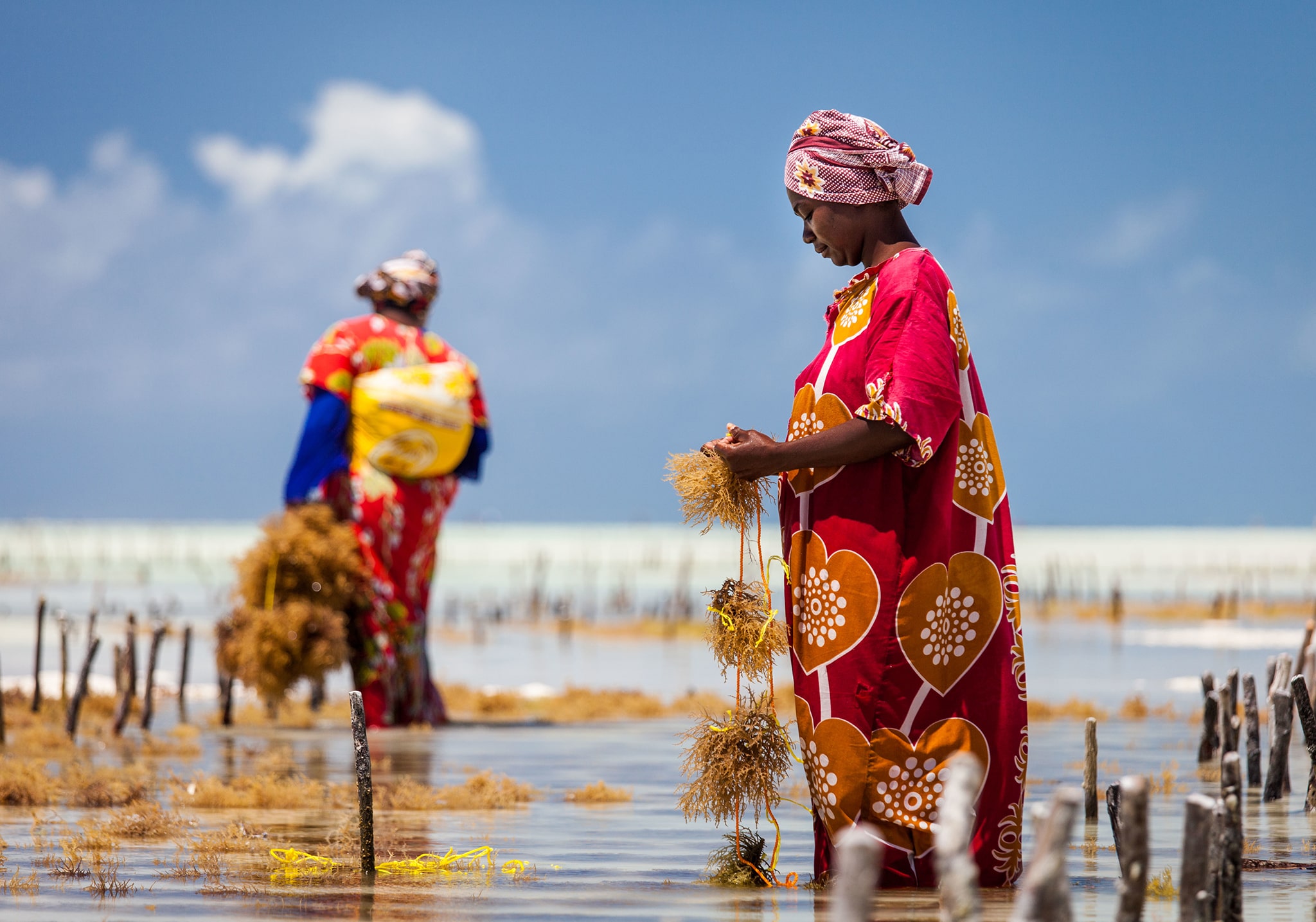 6 Days Discovering Stone Town’s Old City and Cultural Heritage of Zanzibar