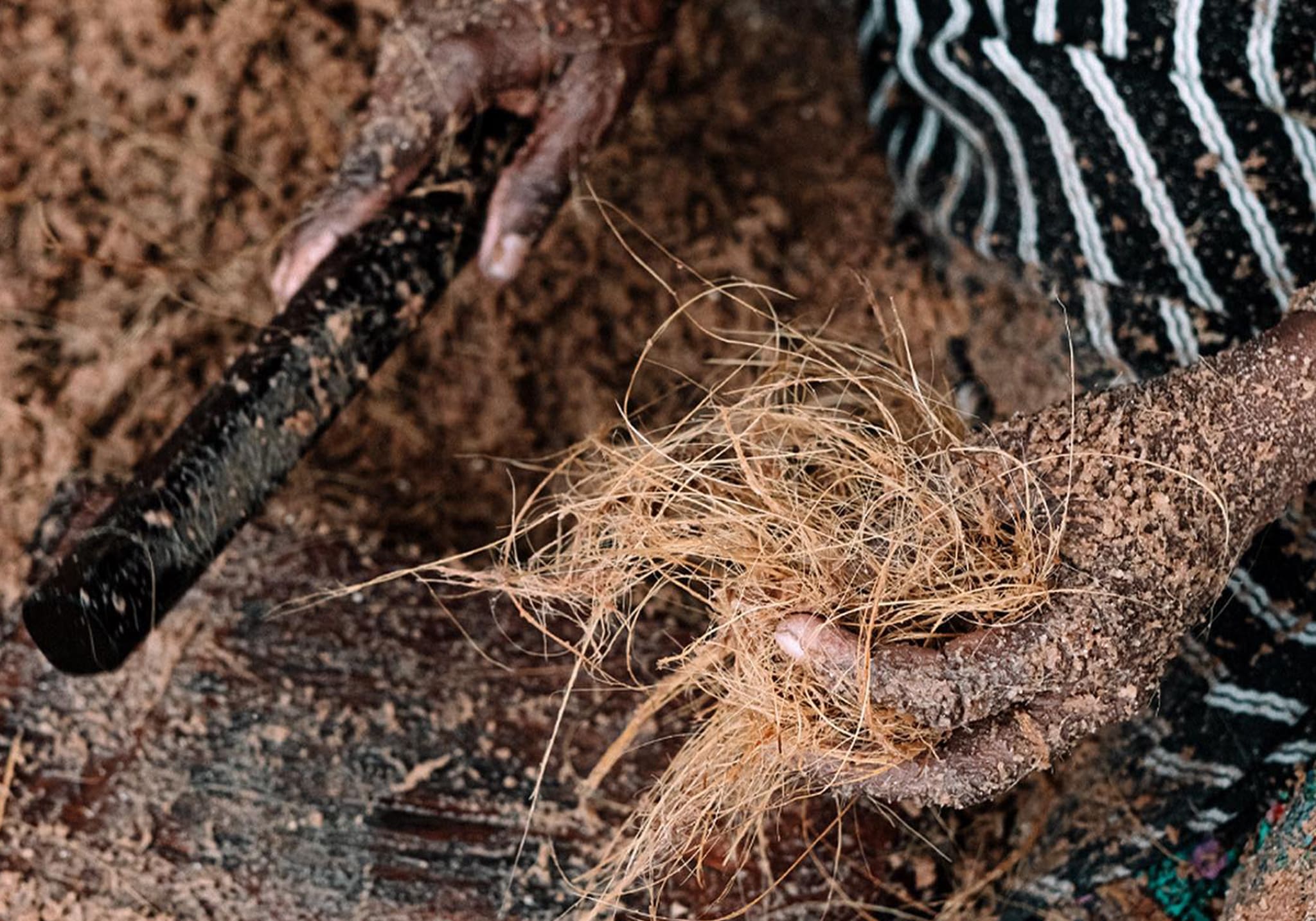 6 Days Discovering Stone Town’s Old City and Cultural Heritage of Zanzibar