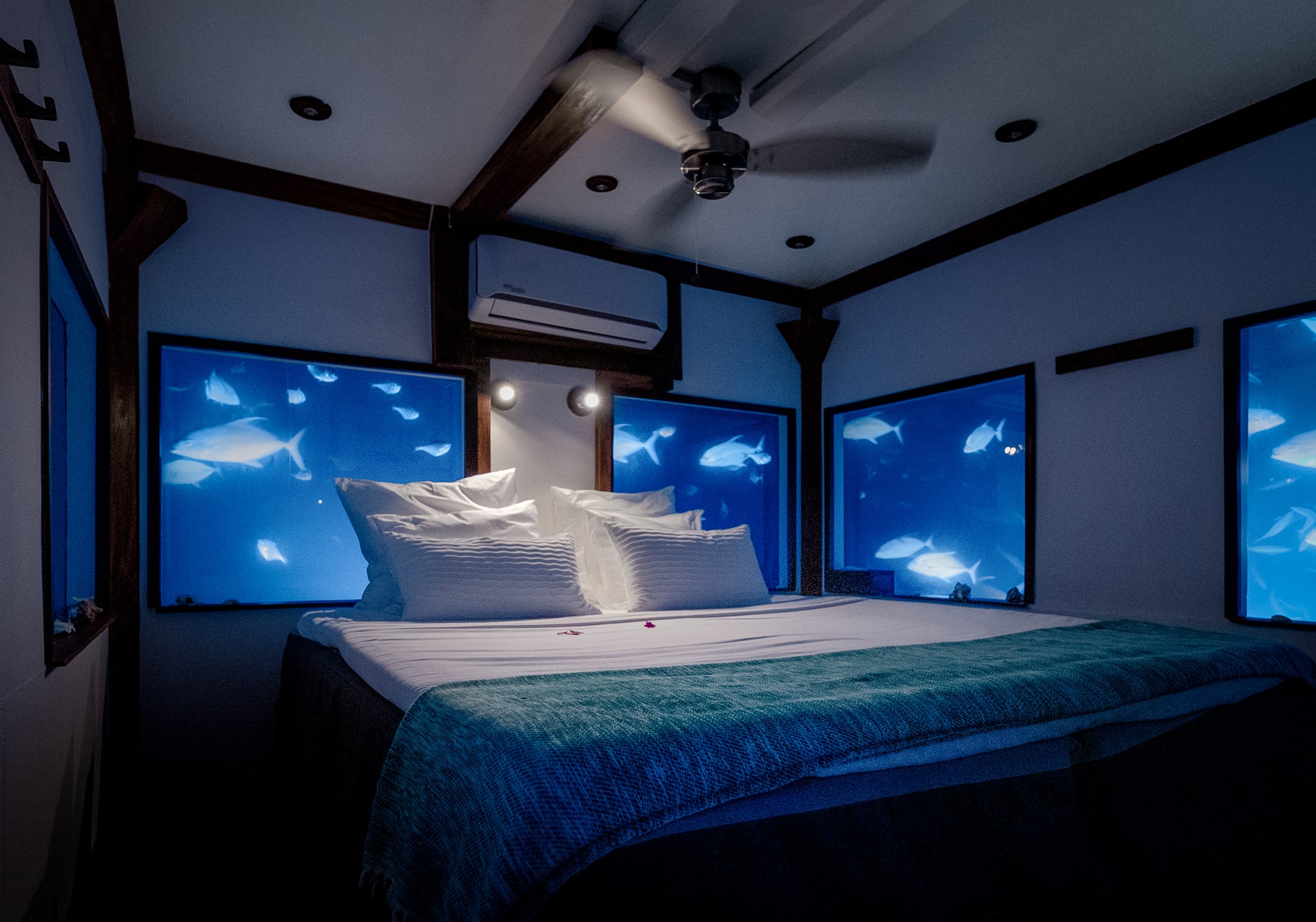 Dive into Romance: 7 Days Exotic Honeymoon Experience in Pemba’s Underwater Room