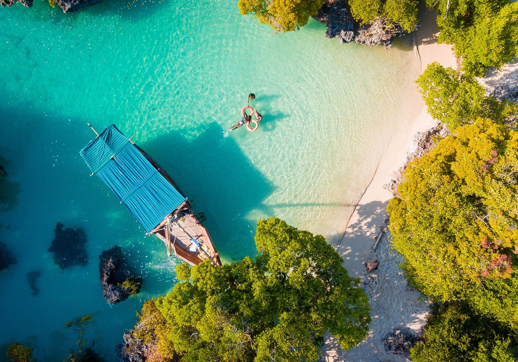 7 Days Sense The Beauty Of Powdery White Sands Of Zanzibar