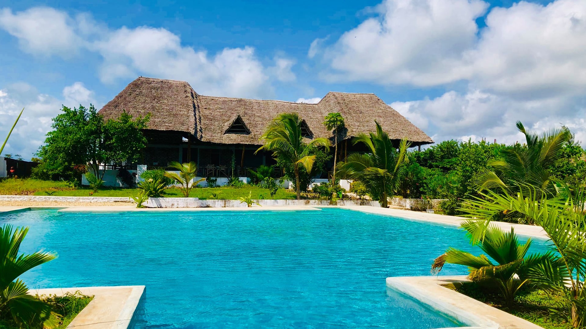 7 Days in Paradise: Unveiling the Untouched Beauty of Pemba Island