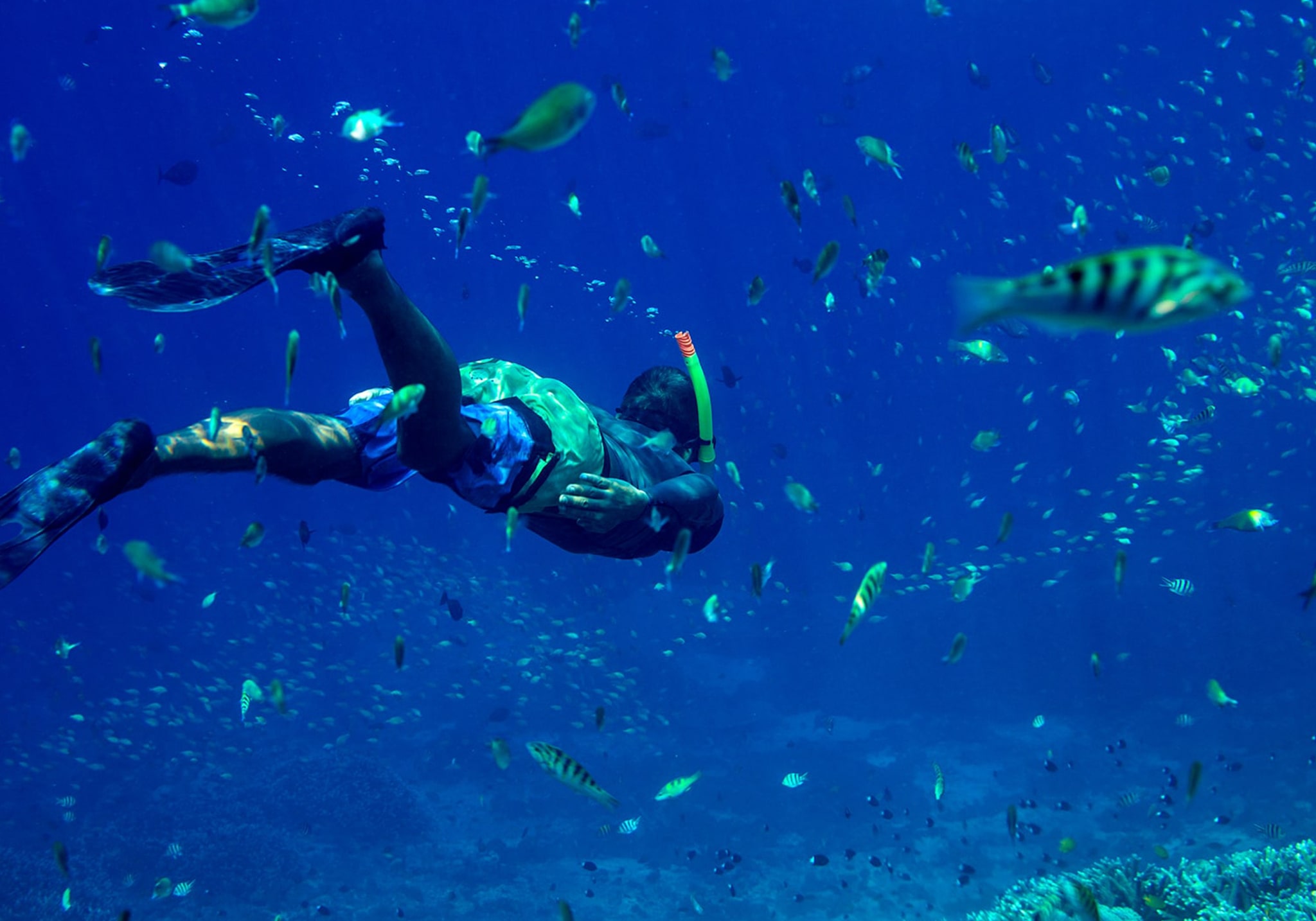 7 Days in Paradise: Unveiling the Untouched Beauty of Pemba Island